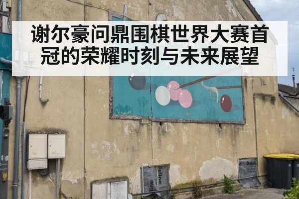 谢尔豪问鼎围棋世界大赛首冠的荣耀时刻与未来展望
