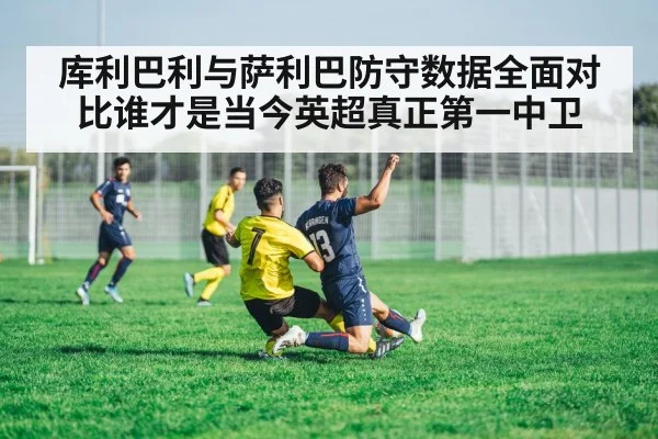 库利巴利与萨利巴防守数据全面对比谁才是当今英超真正第一中卫